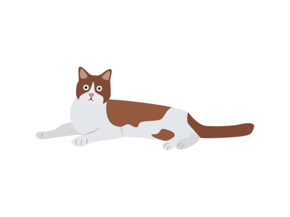 American Cat Sit Animal: A Playful Font for Modern Design