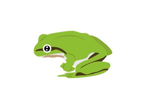 Designing with the Gastrotheca Frog Animal: A Creative Asset Guide