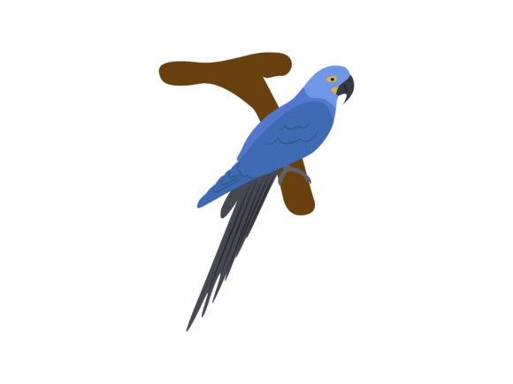 Makaw Hyacinth Bird Animal: A Bold Addition to Your Design Toolkit