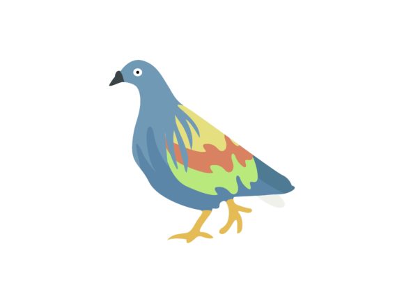Pigeon Walking Bird Animal: A Designer's Guide to This Charming Illustration