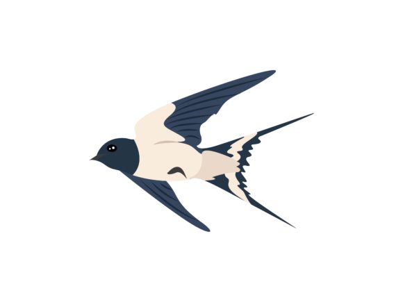 Swallow Flaying Glide Bird Animal: A Designer's Guide to This Illustration Asset