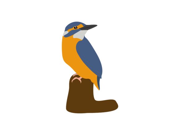 The Alcedinidae Standing Bird Animal: A Creative Asset