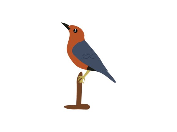 The Anggel Red Canary Bird Animal: A Designer's Guide to Vibrant Illustration