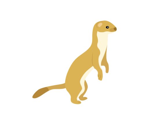 The Suricata Suricatta Face Right Animal: A Designer's Playful Asset