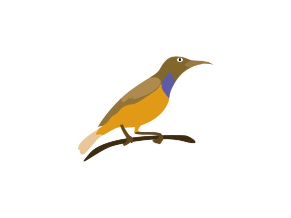 Unlocking the Charm of Comon Rock Trust Bird Animal