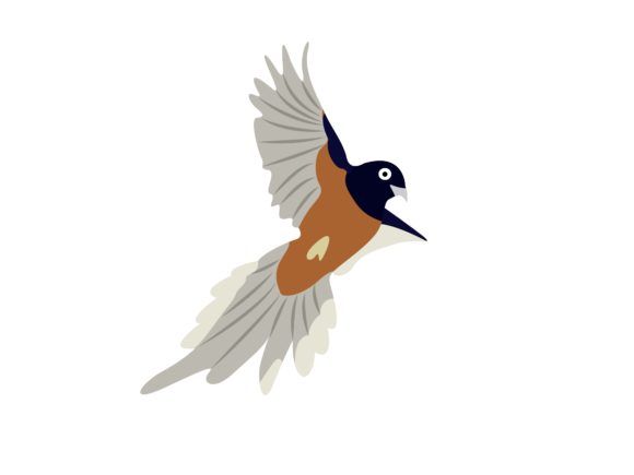 Unlocking the Charm of the Magpie Stone Face Right Bird Animal