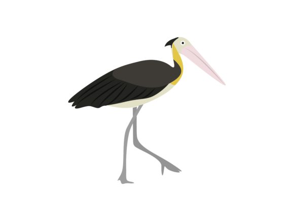 Unveiling the Leptoptilos Java Walking Bird Animal